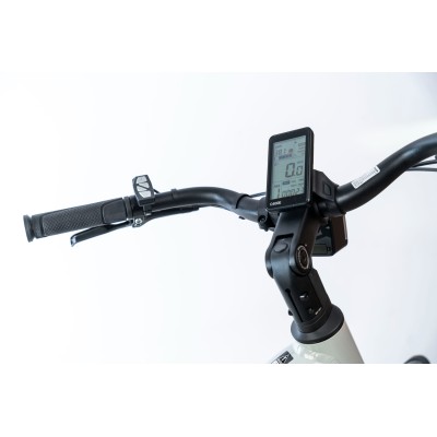 Neon Vivid 1.0 576Wh - rower elektryczny